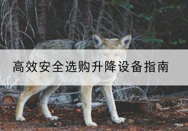 西安升降货梯厂家推荐-*安全选购升降设备指南